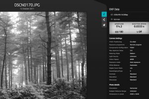 using-exif-data
