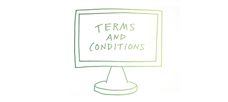 website terms and conditions