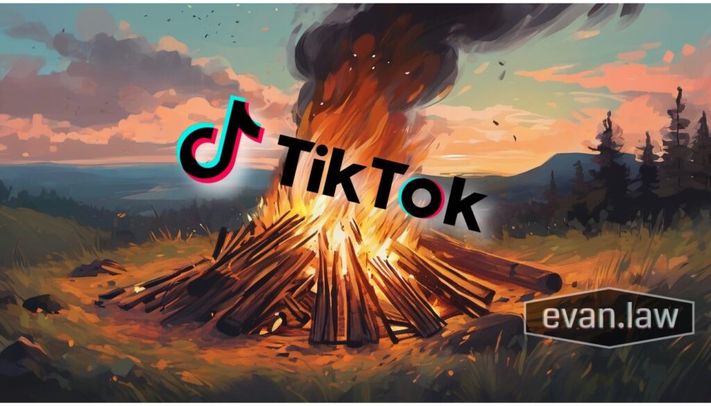 tiktok constitution